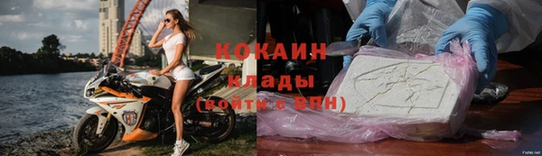 индика Баксан