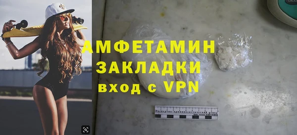 индика Баксан